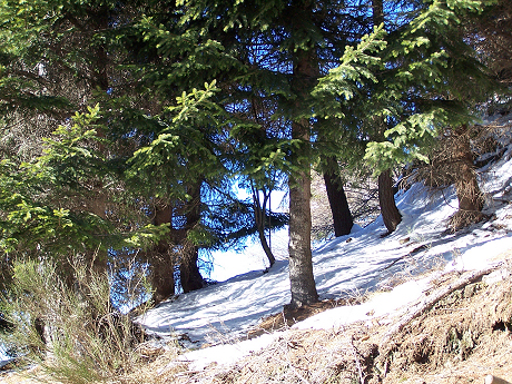 Album fotografico Ristoro Alpino Monte Basso