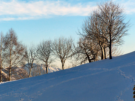 Album fotografico Ristoro Alpino Monte Basso