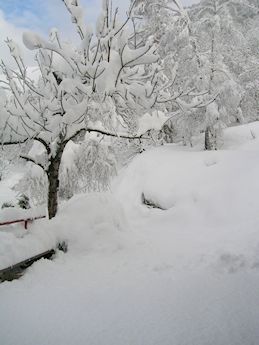 Album fotografico Ristoro Alpino Monte Basso
