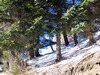 Album fotografico Ristoro Alpino Monte Basso