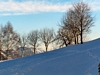 Album fotografico Ristoro Alpino Monte Basso