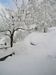 Album fotografico Ristoro Alpino Monte Basso