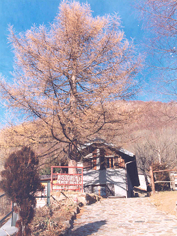Album fotografico Ristoro Alpino Monte Basso